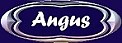 Angus