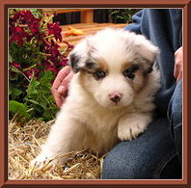 Bild 031