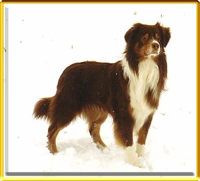 Buster 2-07
