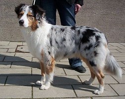 Busters Tochter