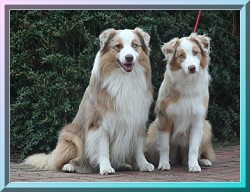 Jones and Trisha sit-1