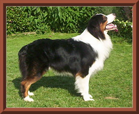 angus 7-07 004