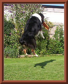 angus 7-07 013