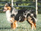briarbrooksbishopofwyndridge4
