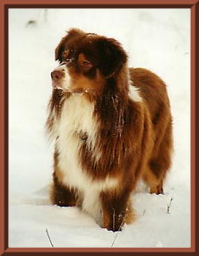 buster front 1-06