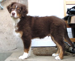 buster klasse 2