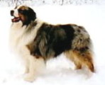 norty1