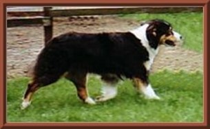 ravenlauf1JPG1