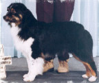 spencer